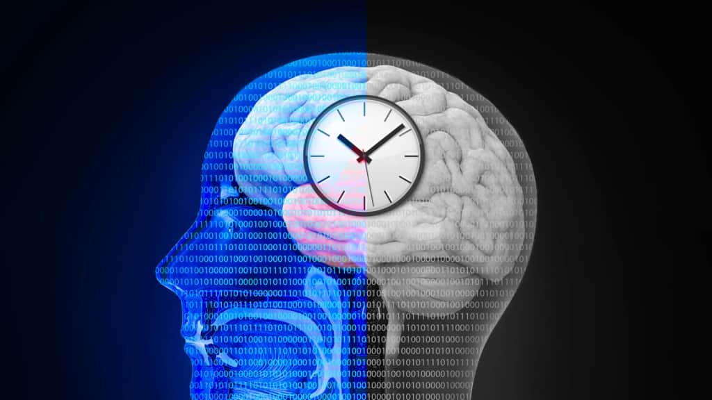 The hidden timing system that shapes how you think