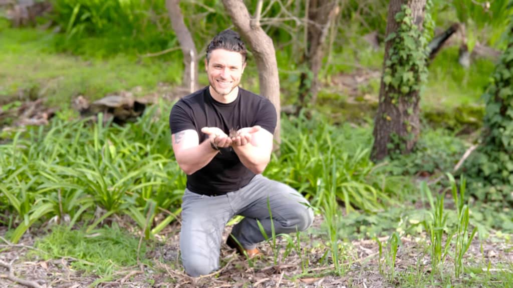 The invisible microbes that help keep us healthy