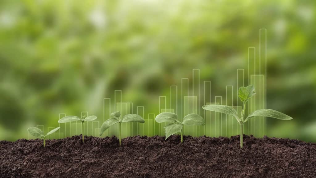 Plants can’t absorb as much CO2 as climate models predicted