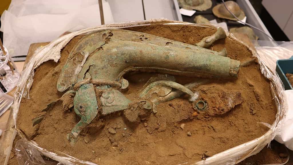 Rare Iron Age battle horn discovered on excavation site for UK homes