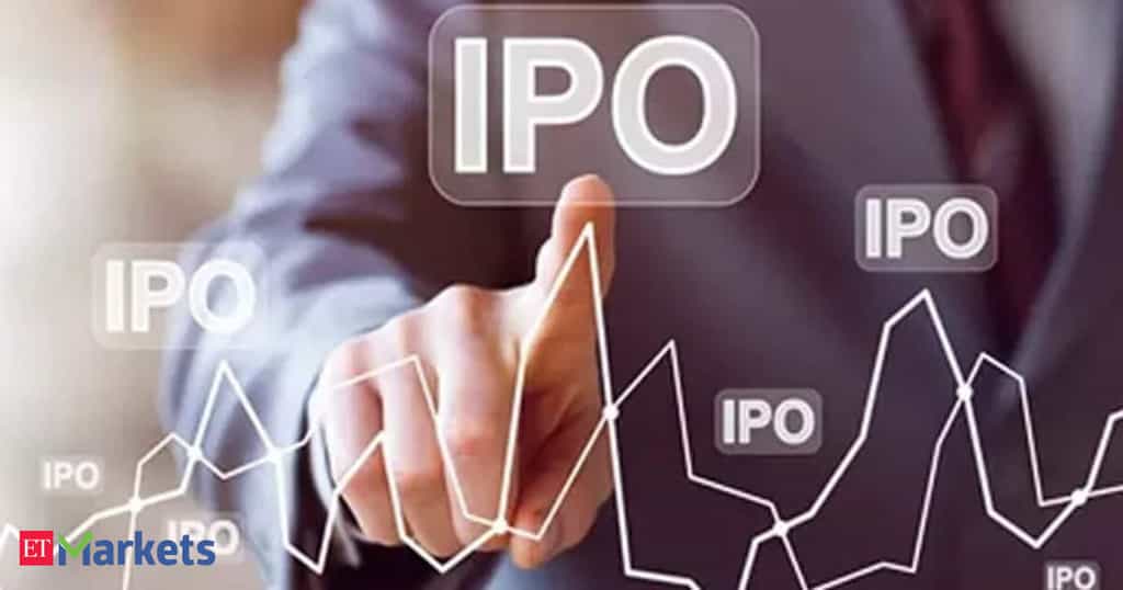 Can niche platforms deliver big returns in the IPO market?