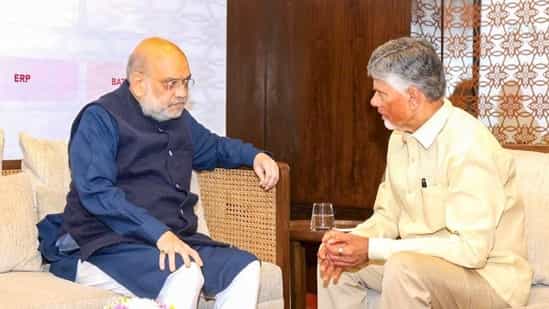 Andhra CM Naidu seeks statutory status for Amaravati in meeting with Amit Shah