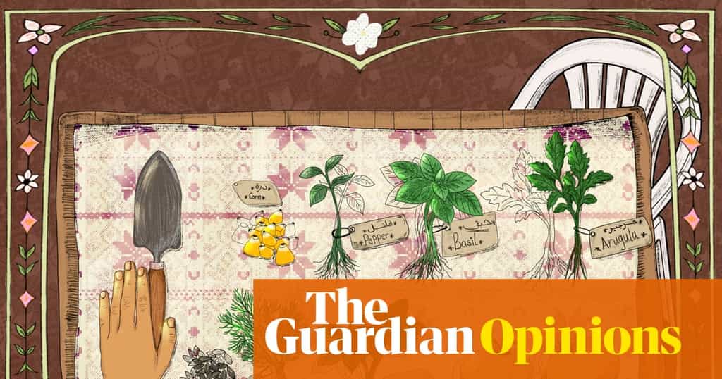 As the Israeli bombs fell, my family committed an act of rebellion: we planted a garden in Gaza | Taqwa Ahmed al-Wai