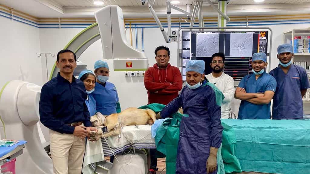 Cathlab embolisation performed on 13-year-old dog in Pune