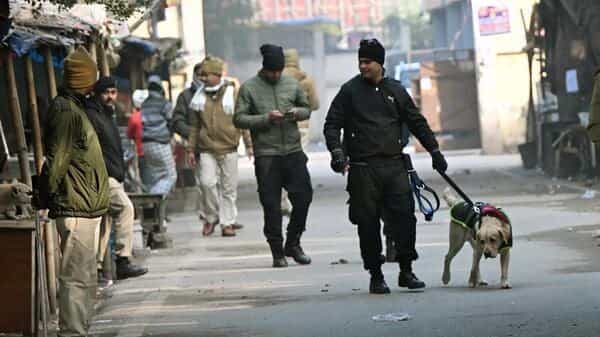 Bomb threat at several courts in Odisha, dog squads deployed | Today News