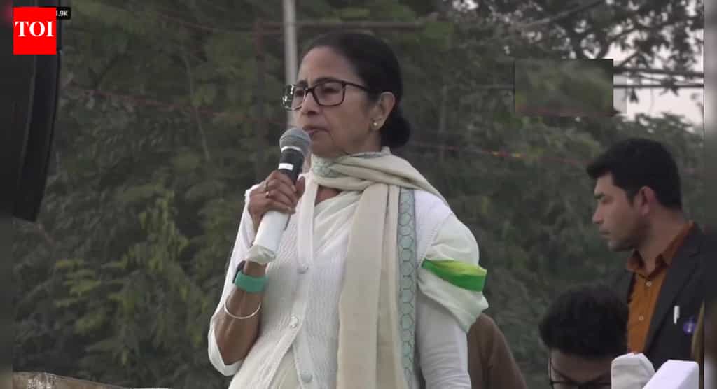 'Did nothing wrong': Mamata Banerjee on action during ED raids; makes coal scam charge against BJP | India News