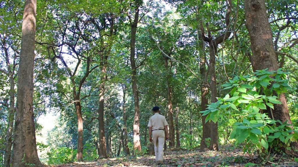 End of the hunt: ‘Mini Veerappan’ trapped at Mysuru Railway Station over brutal tiger poaching case