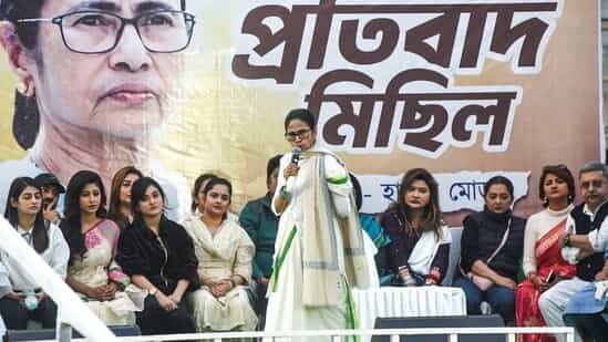 'If someone tries to hit me, I get reborn': Mamata Banerjee on I-PAC raids