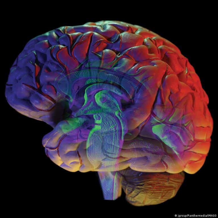 US research shows what ADHD drugs really do and don't do