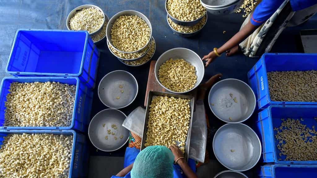 All India Cashew Association voices concern over surge in illegal import of the dry fruit