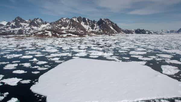 Why Greenland is emerging as a flashpoint in Trump’s 2026 foreign policy – and Denmark’s role | Today News