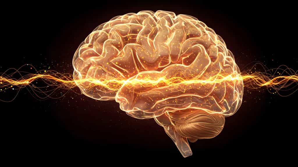 A hidden brain signal may reveal Alzheimer’s long before diagnosis