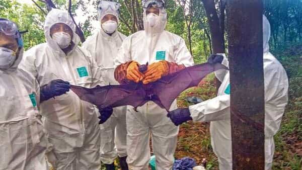 Nipah alert in West Bengal: Centre rushes expert response team | Today News