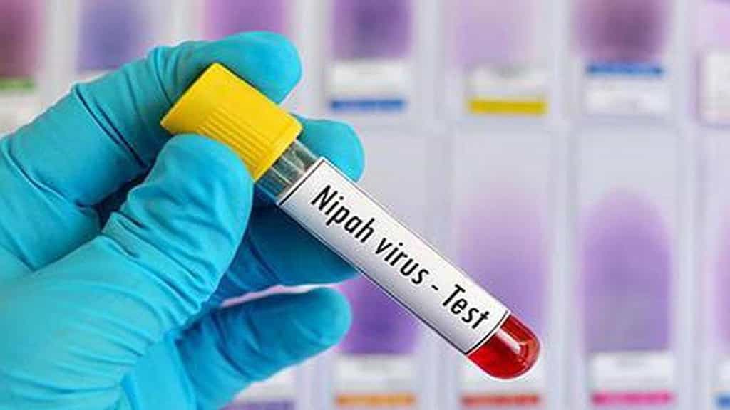 Centre steps in as two Nipah cases detected in Bengal