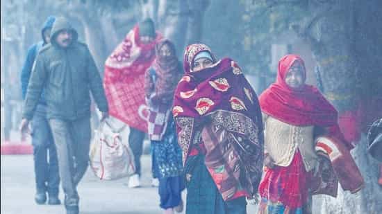 Frosty morning in Delhi as temperature hits 3-year Jan low 3.2°C