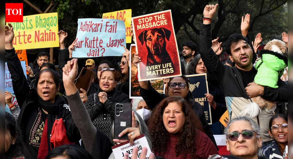 'Take them to your house': Supreme Court questions dog feeding groups; compensation warning for states | India News