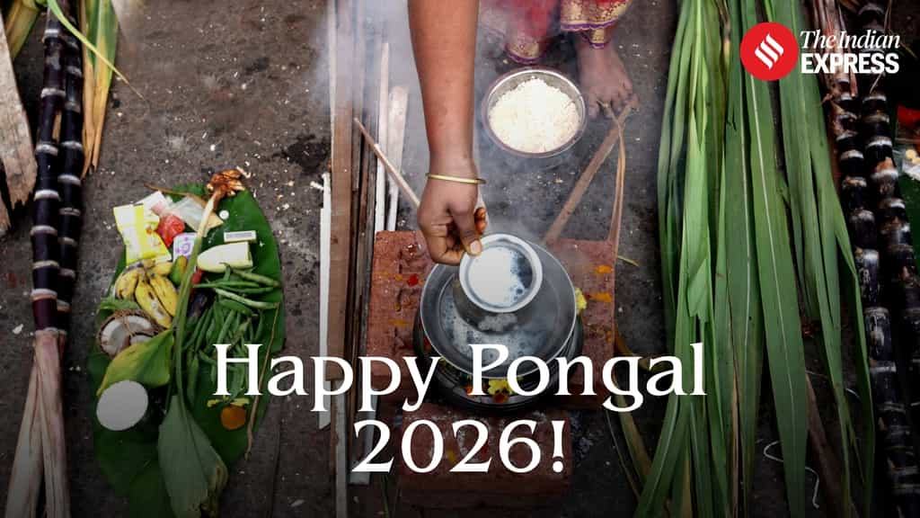 Happy Pongal 2026: Best Wishes, Images, Quotes, WhatsApp Status, Messages Greetings and Cards to Share