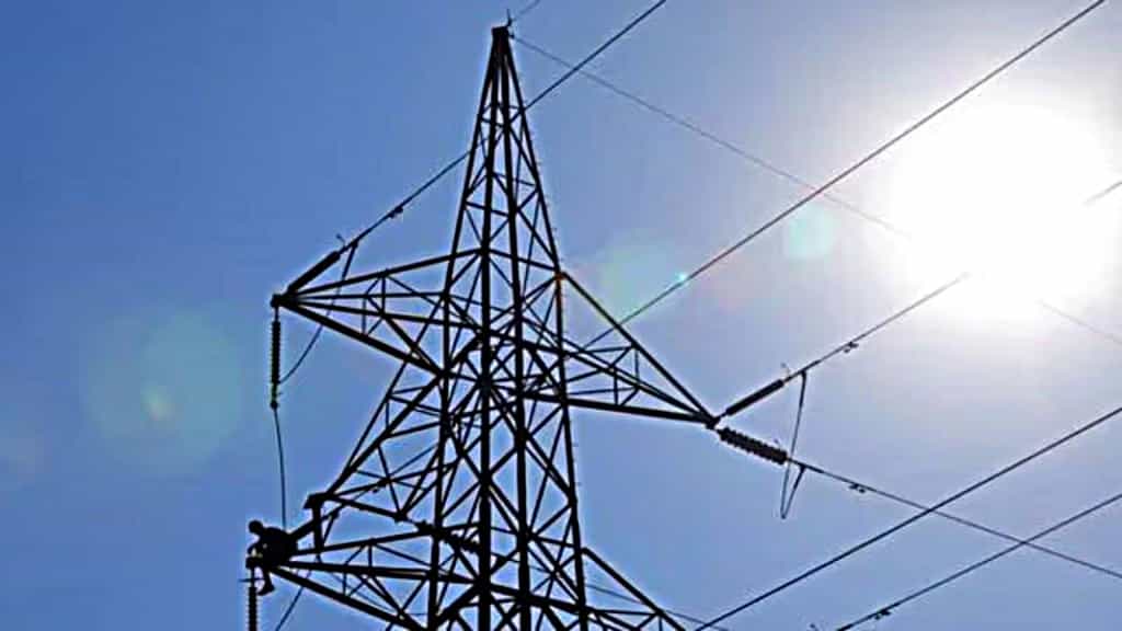 ‘A step towards backdoor privatisation’: Why power engineers want Electricity Amendment Bill 2025 withdrawn