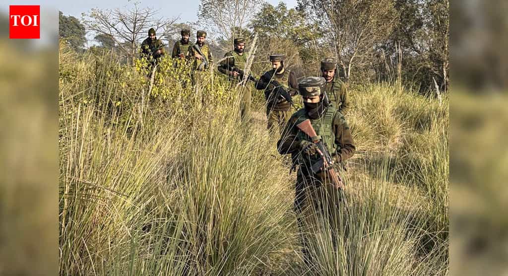 Major crackdown: Five J&K govt employees sacked over 'terror links'; one was in 'regular contact' with top LeT commander | India News