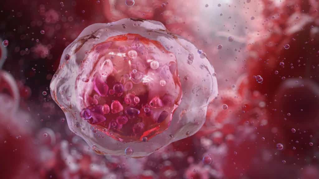 This AI spots dangerous blood cells doctors often miss