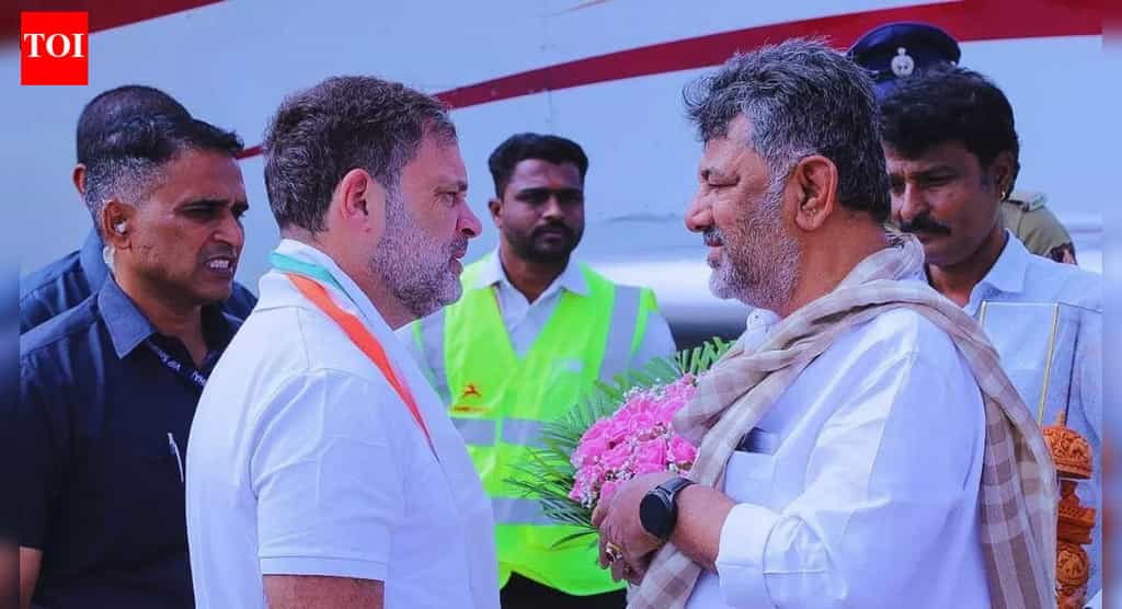 'Even if effort fails ... ': DK Shivakumar shares cryptic post after meeting Rahul Gandhi | Bengaluru News