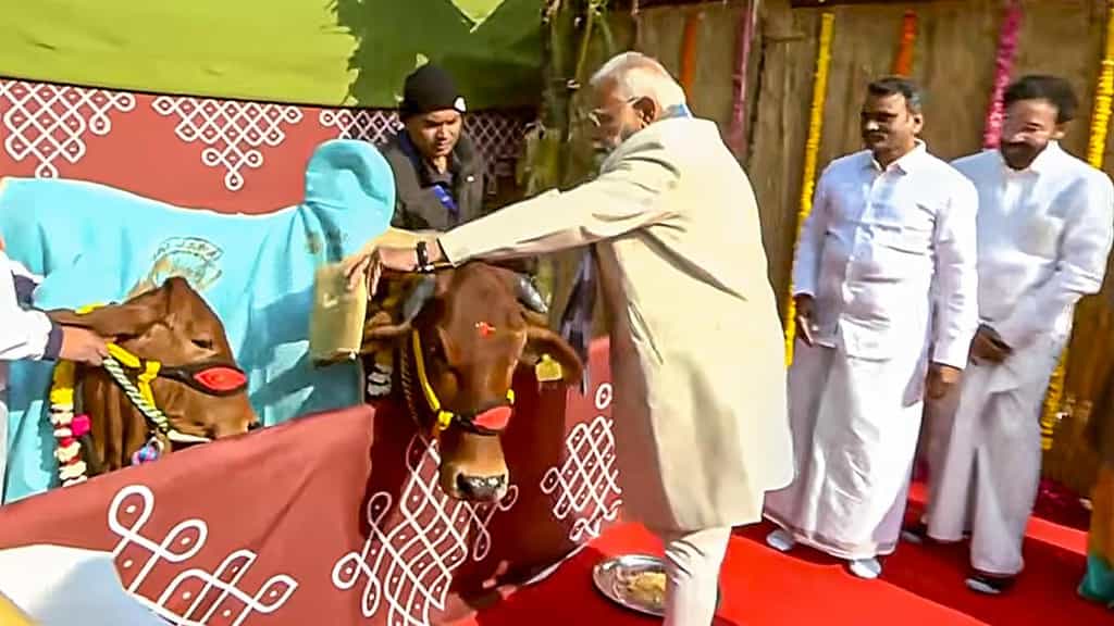 Pongal a global festival, cherished by Tamil community world over: PM Modi