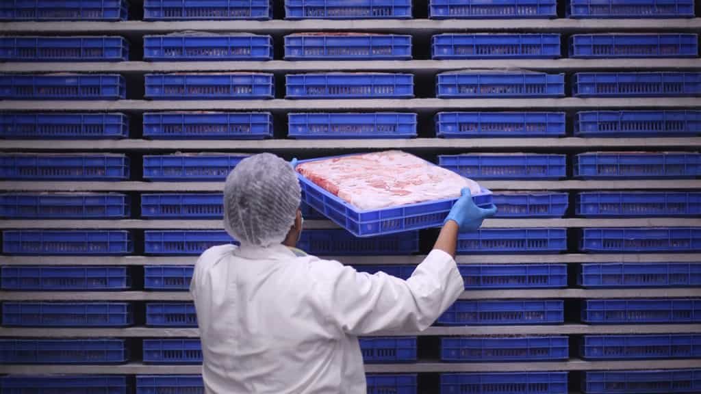 Beef linked to slaughterhouse under BJP jurisdiction becomes headache for party in Madhya Pradesh