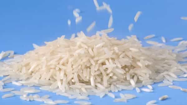 Govt to meet basmati exporters amid US tariff threat on Iran issue | Today News