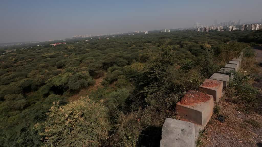 In Gurgaon’s Aravalli belt, study flags shrinking forest, fragmented habitat amid ‘rapid urbanisation’