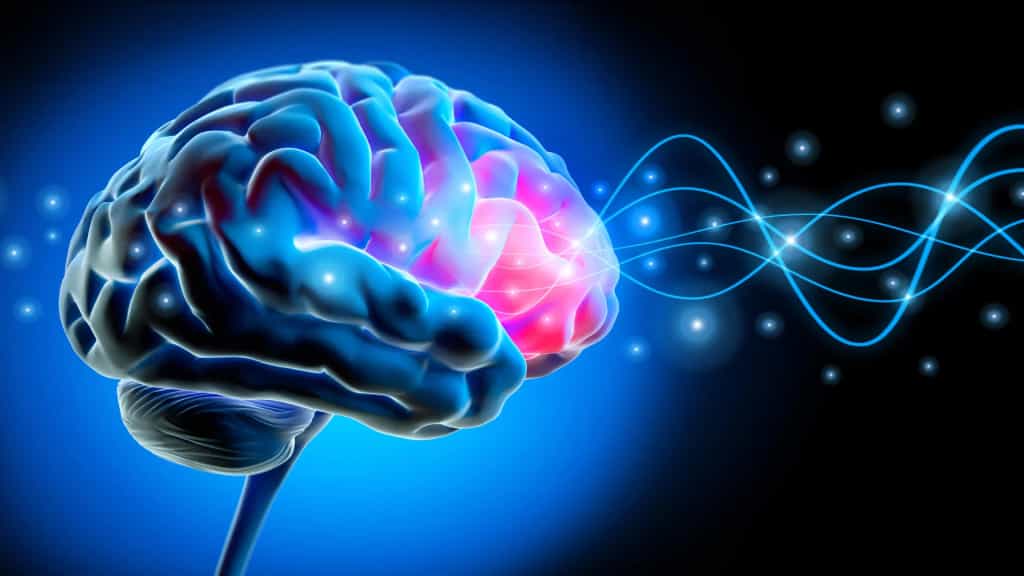 Scientists found the brain rhythm that makes your body feel like yours