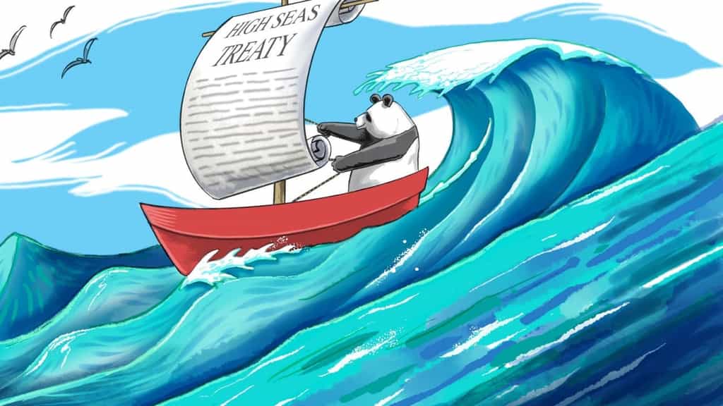 Opinion | High Seas Treaty a chance for China to lead on marine conservation